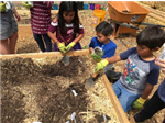 students planting together in the first grade garden beds 